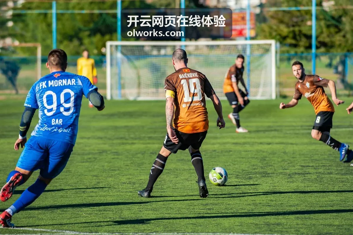 开云网页在线体验按主题归类的内容卡片列表