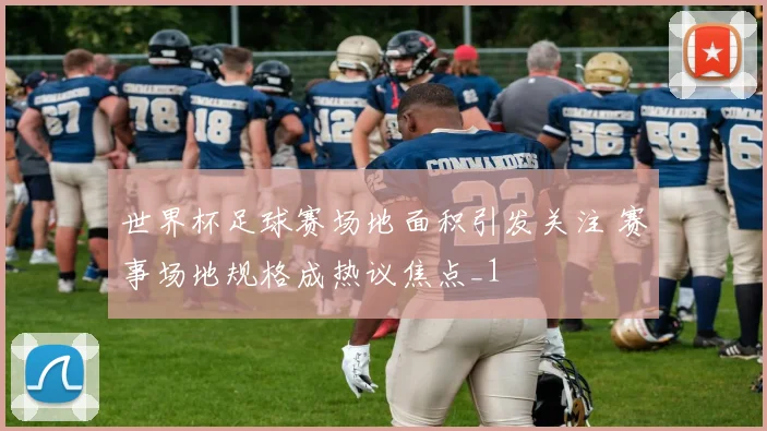 世界杯足球赛场地面积引发关注 赛事场地规格成热议焦点_1