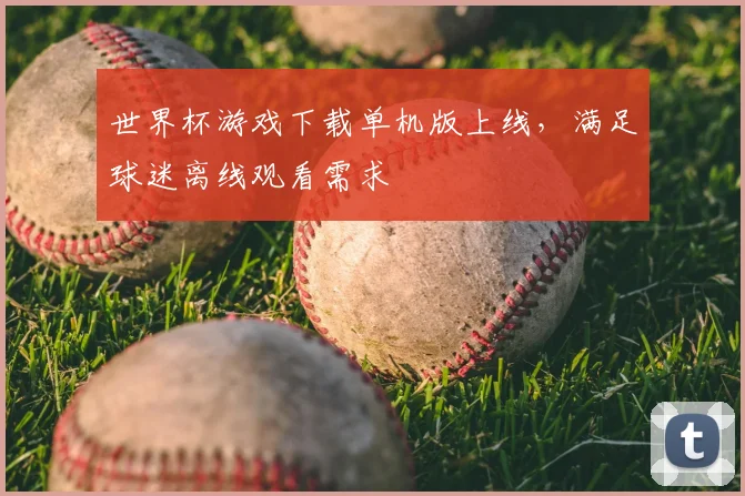 世界杯游戏下载单机版上线，满足球迷离线观看需求