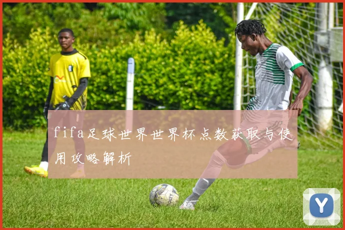 fifa足球世界世界杯点数获取与使用攻略解析