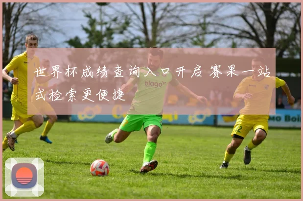 世界杯成绩查询入口开启 赛果一站式检索更便捷
