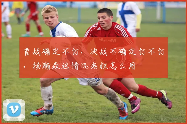 首战确定不打,次战不确定打不打,杨瀚森这情况老叔怎么用